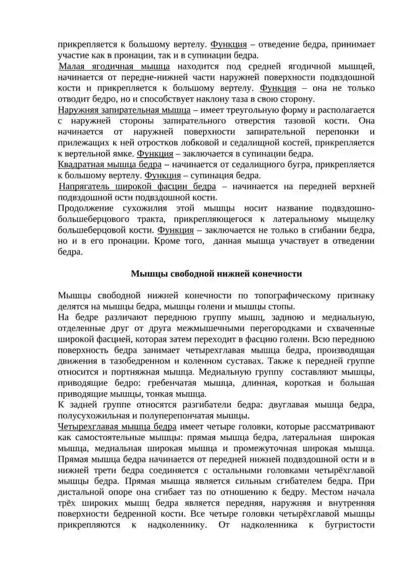 Миология 4