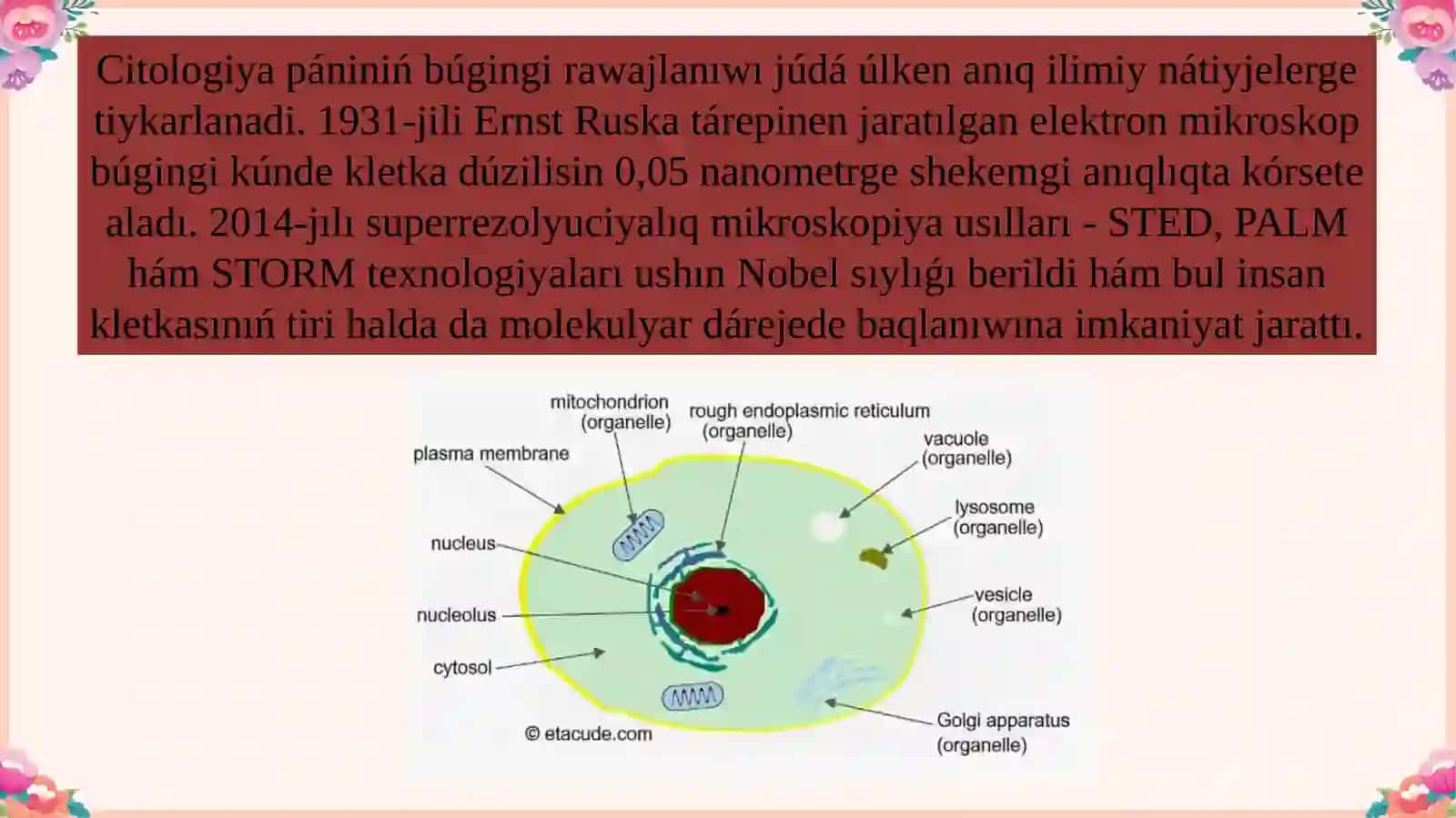 Búgingi kúnde citologiya pániniń jetiskenlikleri, mashqalaları hám keleshegi. 4