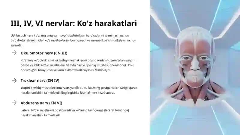 Kranial nervlar: I–XII juft 4