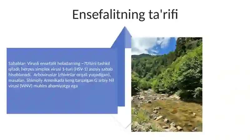 Ensefalitlar kasalligining kelib chiqishi sabablari va asoratlari 4