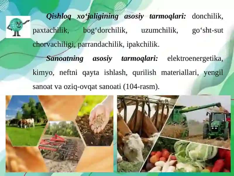 Viloyatning iqtisodiyotini o‘rganish 4