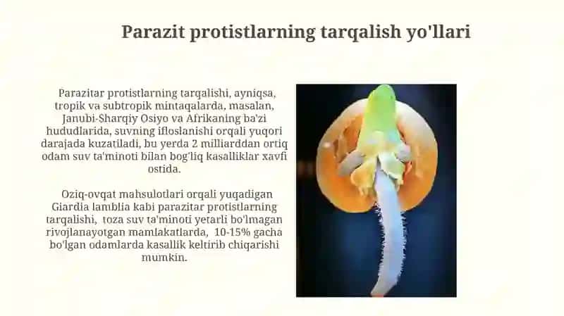 Protistologiya - parazit sodda hayvonlar haqida fan 4