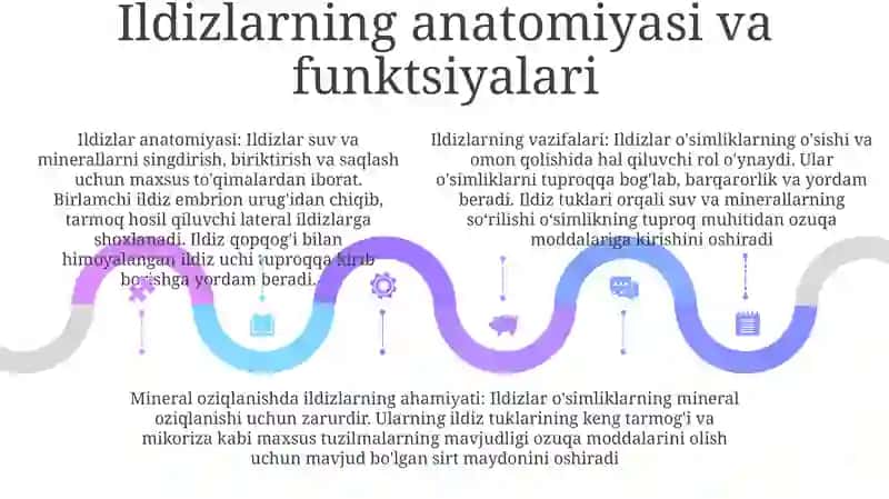 O'Simliklarni Mineral Oziqlanish Jarayonida Ildizning Ahamiyati 4