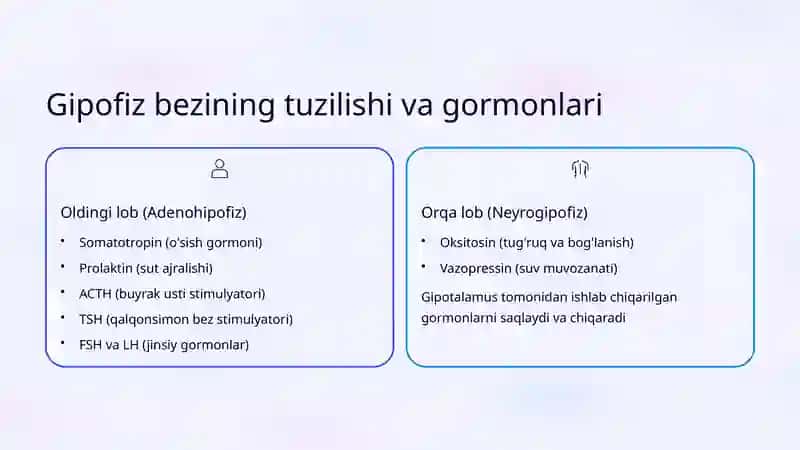 Buyrak usti va Gipofiz 4