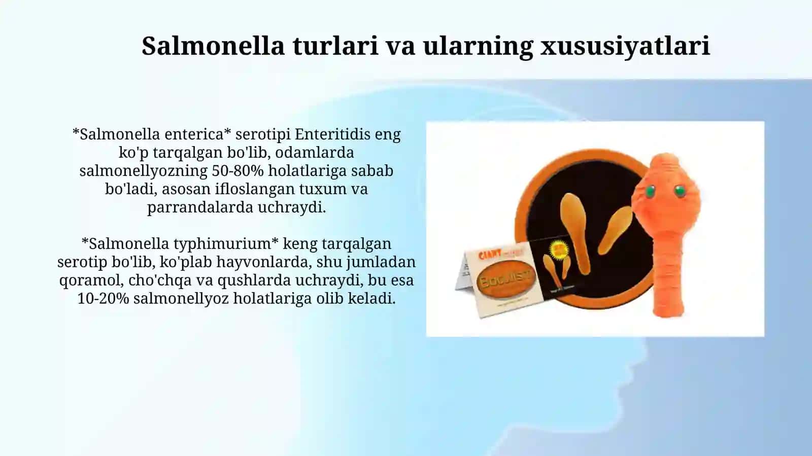 Salmonella bilan Botulizm kuzgatuvchilari xaqida 4