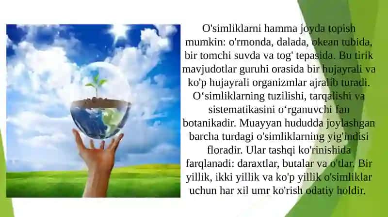 O’simliklarni inson va biosferada tutgan o’rni va muhofazasi 4