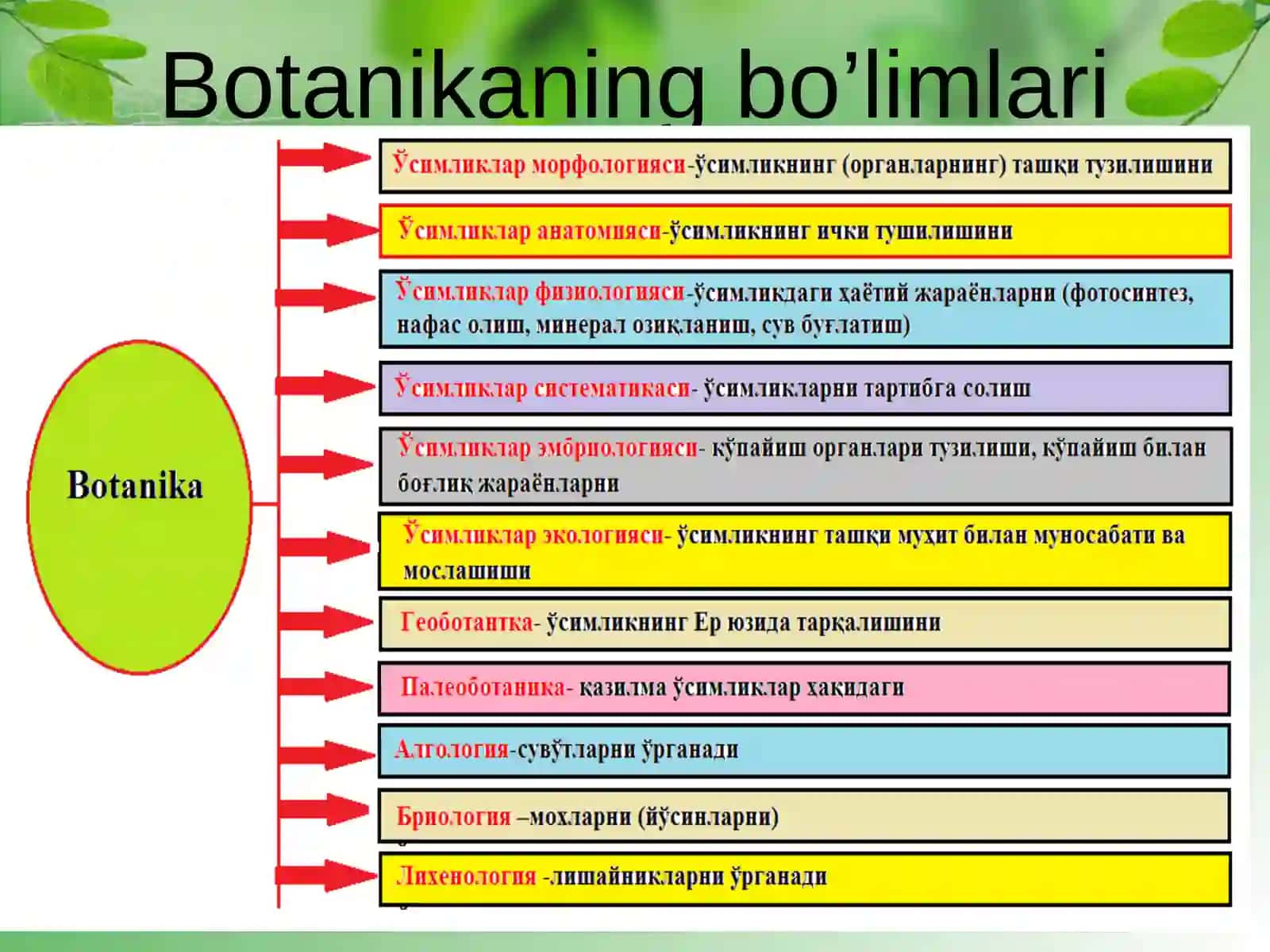 O’simliklar olami. O’simlik to’qimalari va organlari 4