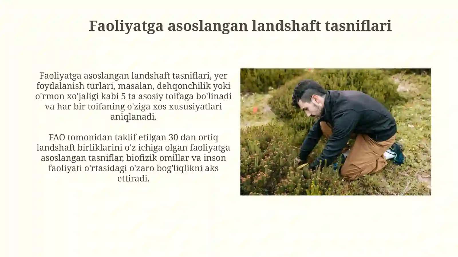 Landshaft tasnifining amaliy qo'llanilishi 4