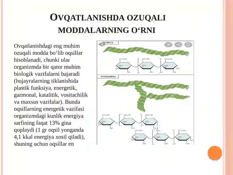 Ovqatlanishning fiziologik me’yorlari. Ovqatdan zaharlanish. Davolovchi profelaktik ovqatlanish va uning ahamiyati 4
