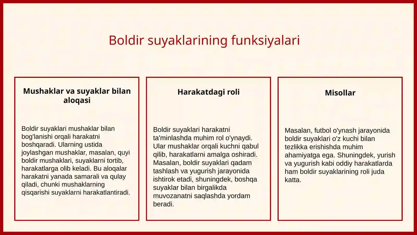 Oyoqning erkin suyaklari: boldir, kaft usti, kaft va barmoq suyaklari 4