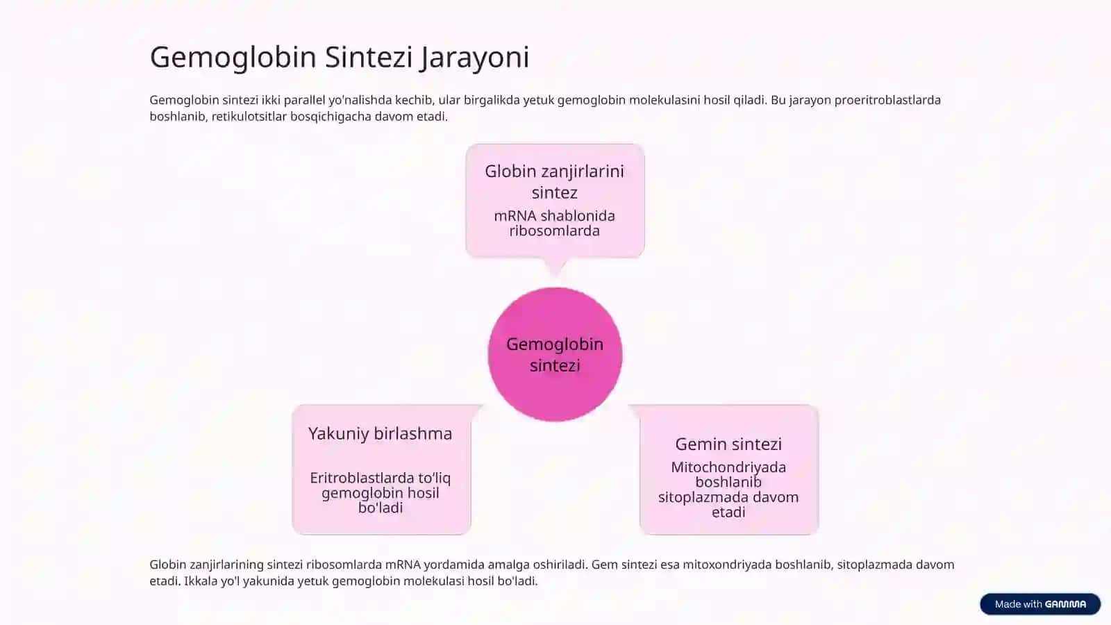 Eritrotsitlar va Gemoglobin Sintezi 4