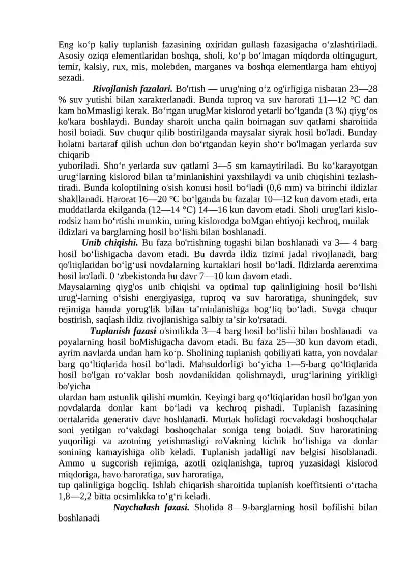 Sholi o’simligi va uni yetishtirish agrotexnikasi 4