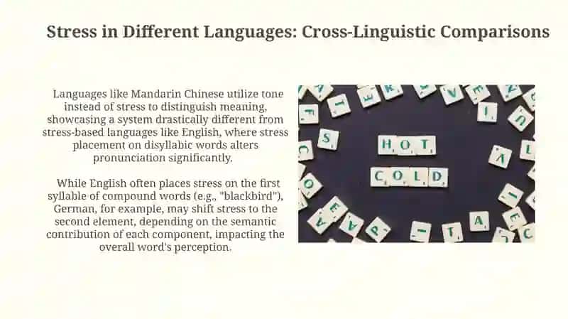 Stress in two syllable words compound words and longer words 4