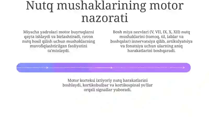 Nutqning anatomik -fiziologik mexanizmlari haqida tushuncha 4