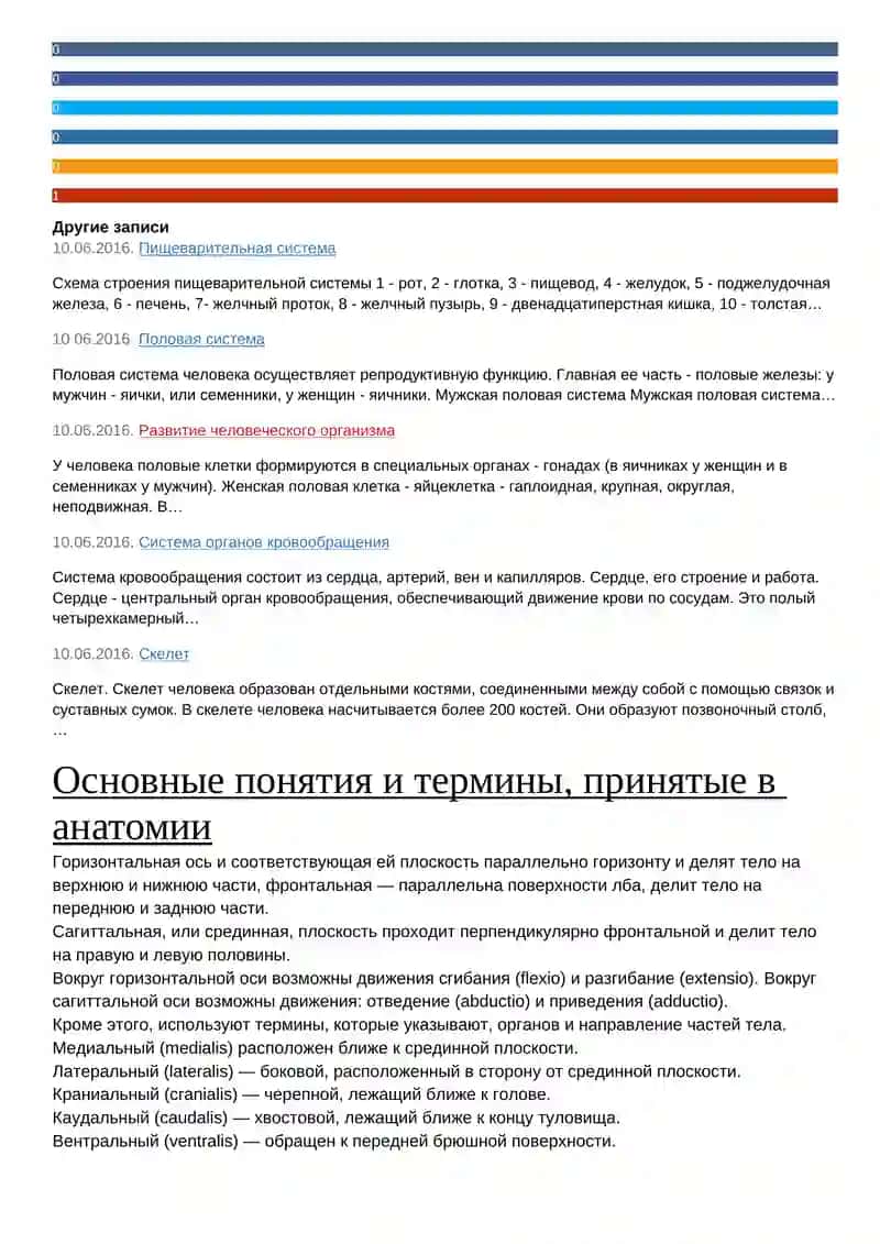 Основные термины и понятия: анатомия и физиология человека 4