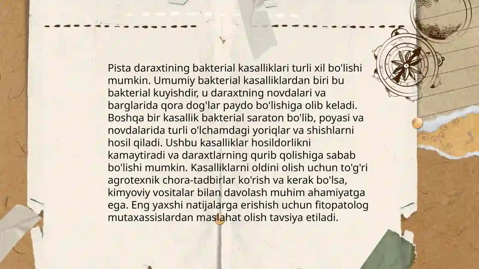 Pista daraxtining bakterial kasalliklari va ularga qarshi kurash choralari 4