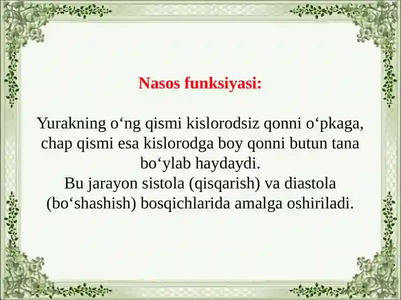 Yurakning gemodinamik vazifasi 4