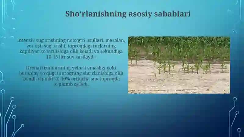 Qoraqalpogʻistonning yer resurslarining sho‘rlanishi va ularning oldini olish yollari 4