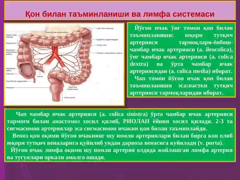 Онкология, болалар онкологияси курси 4