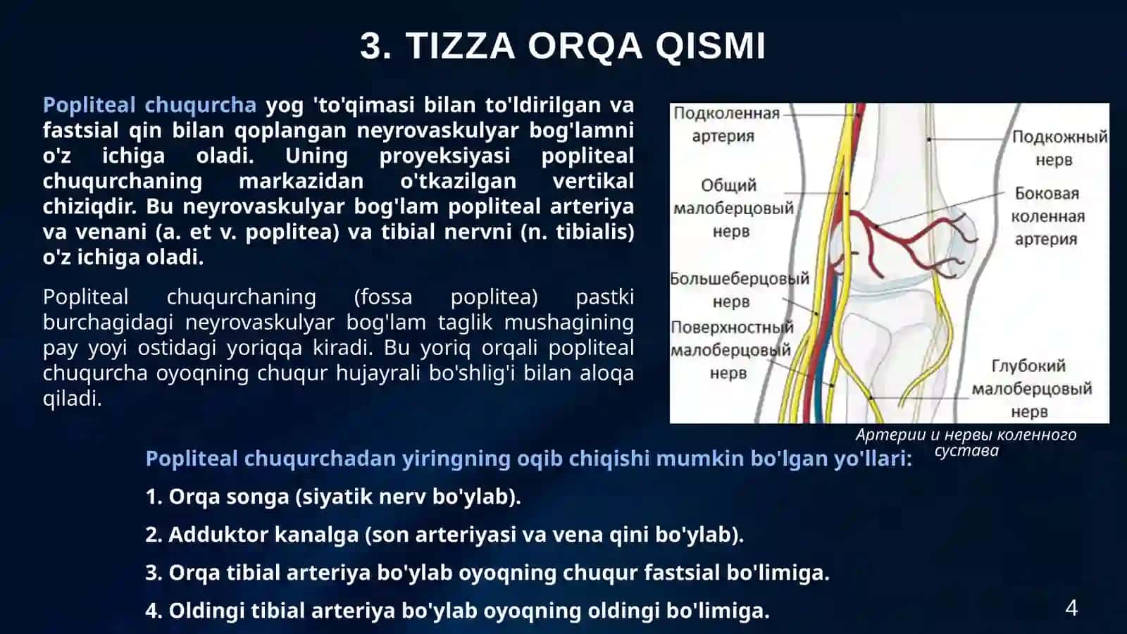 Oyoq topografiyasi: Tibial arteriyani ochish va bog'lash texnikasi. Oyoqning o'rta uchdan bir qismini amputatsiya qilish. Pirogov bo'yicha oyoqning osteoplastik amputatsiyasi. To'piq bo'g'imi va oyoqning topografiyasi. Oyoq barmoqlarining amputatsiyalari va disartikulyatsiyasi (Garanjo, Lisfranc, Sharp bo'yicha). Pastki ekstremitadagi yiringli jarayonlar uchun jarrohlik amaliyotlari. 4