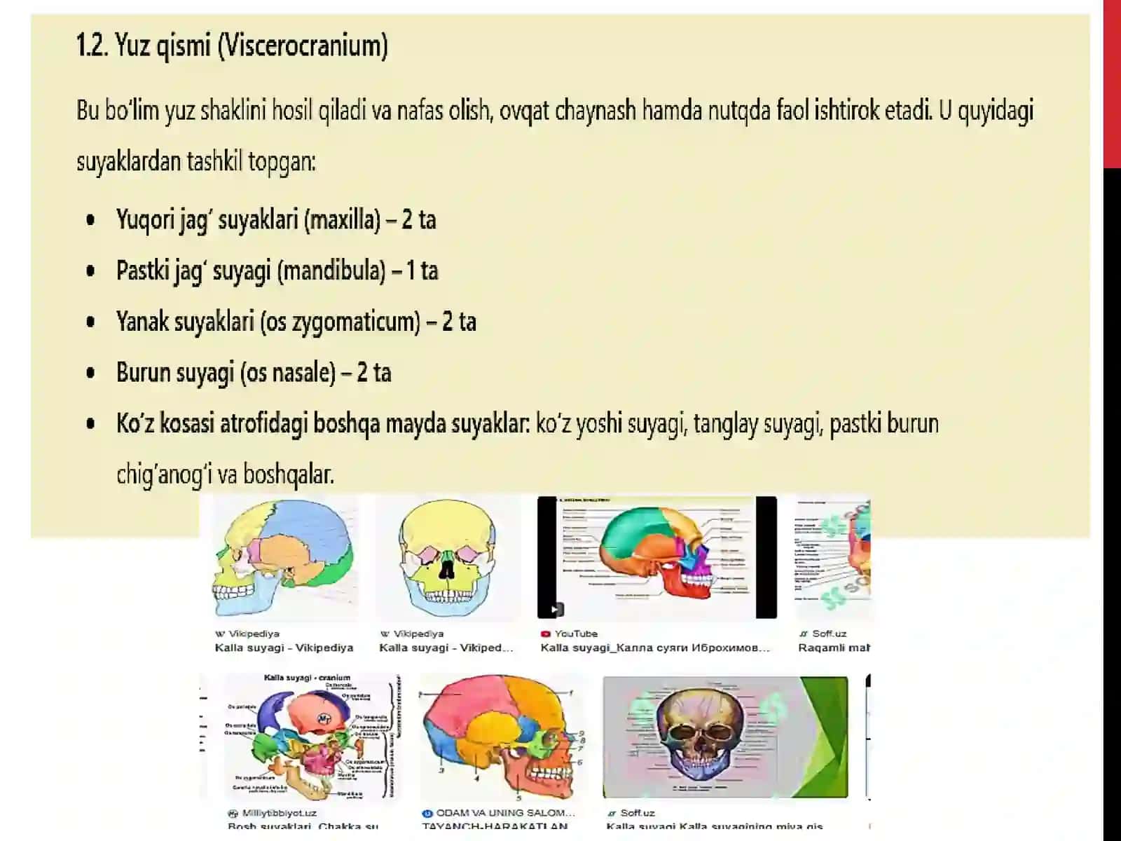 Kallasuyaklarining yoshga qarabo'zgarishi 4
