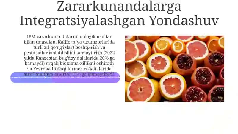 Qoplovchi ekinlar texnologiyalari 4