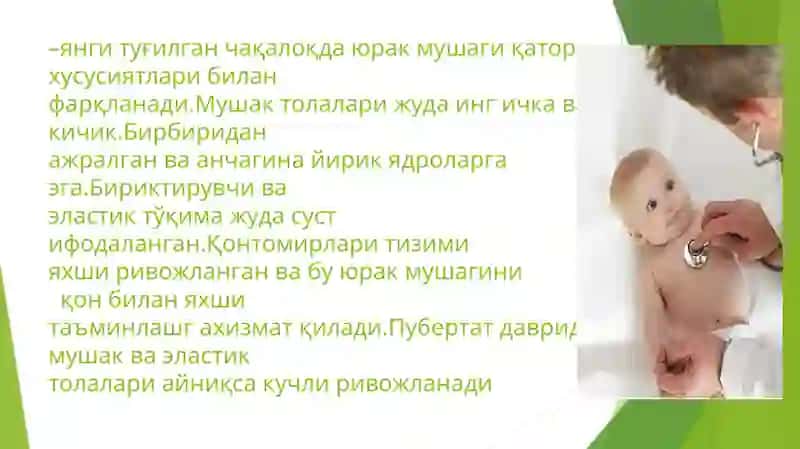 Болалар Юрак Қон Томир Тизимининг Анатомик Физиологик Хусусиятлари 4