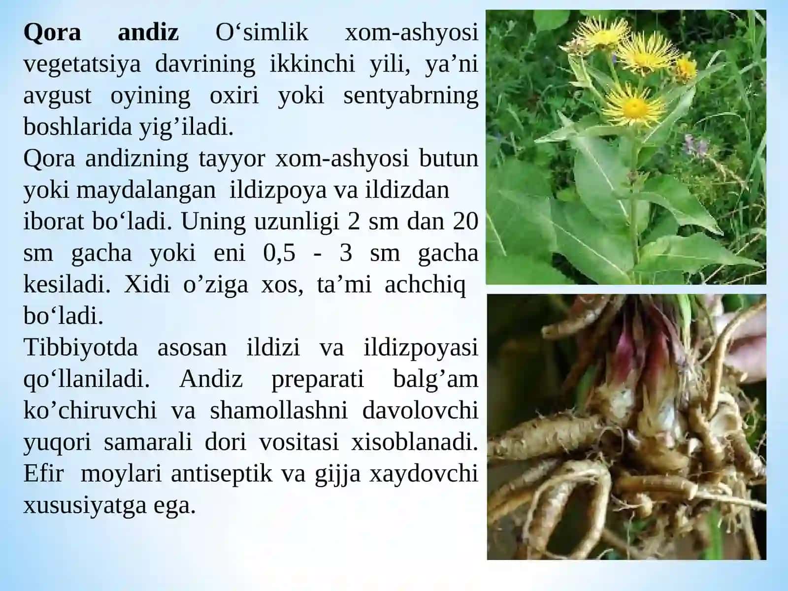 Tarkibida polisaxaridlar bo‘lgan dorivor o‘simliklar xom ashyosini standartlash va sertfikatlash 4