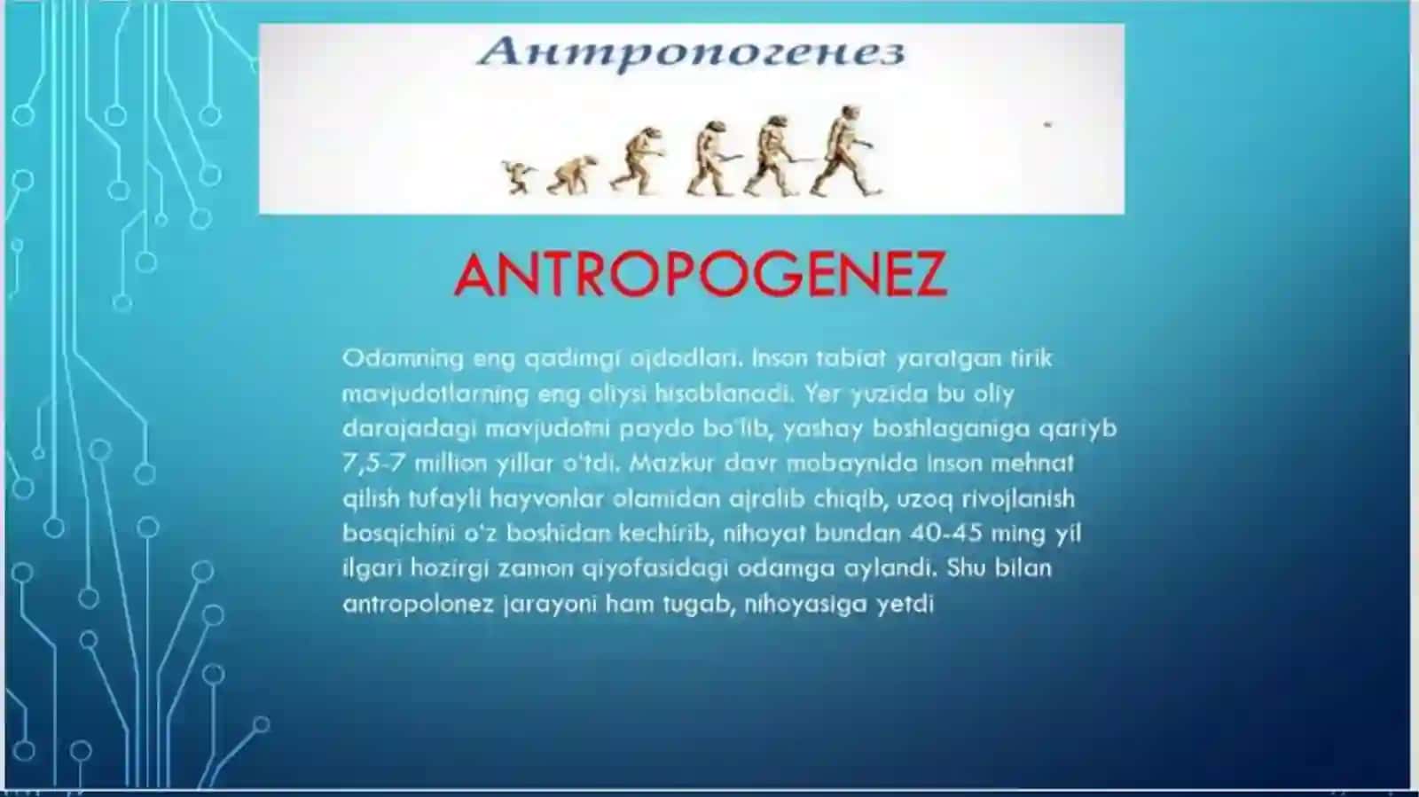 Apwayi hayvanlar 4