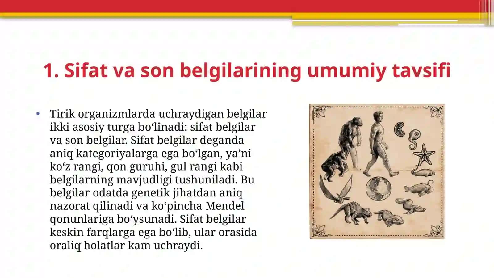 Sifat va son belgilari o‘zgaruvchanligini hisoblash 4