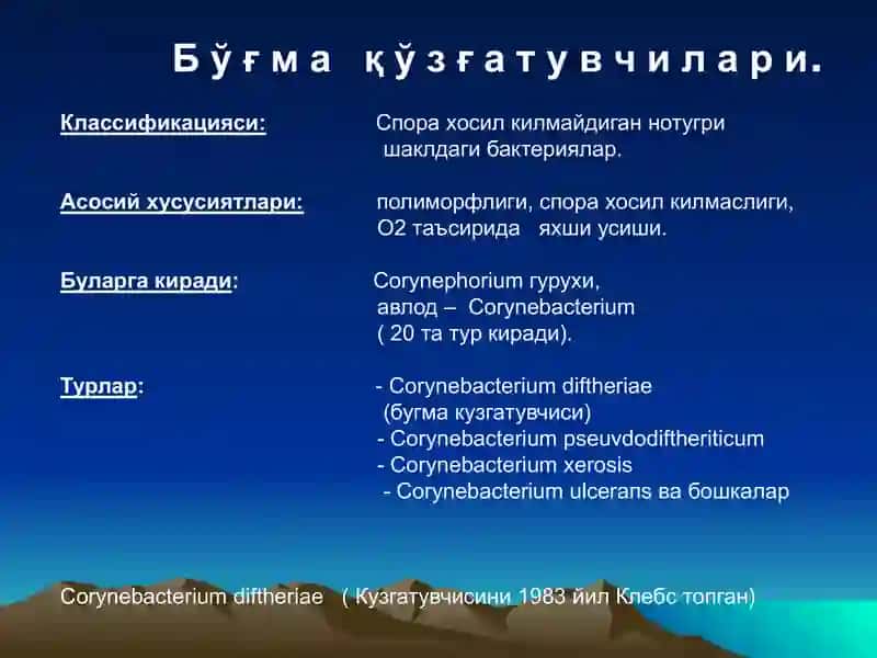 Ҳаво-томчи юқумли касаллик қўзғатувчилари 4