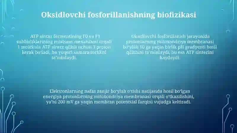 Moddalar almashuvi va energiya almashuvi biyofizikasi 4