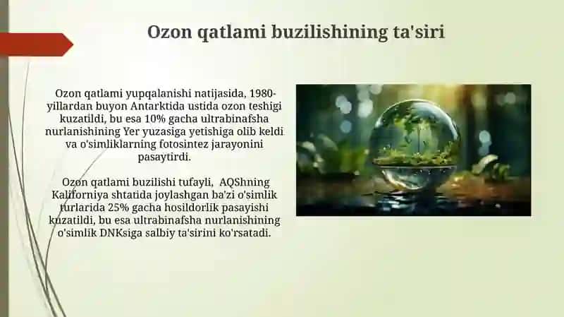 Ozon qatlamining yemirilish muammosi, o'simliklarga ta'sirlari, Issiqxona muhiti 4