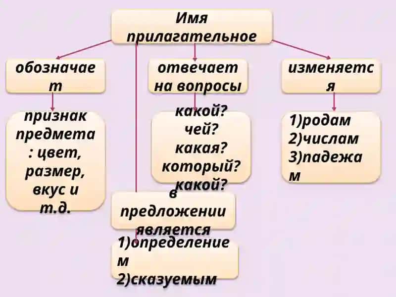Имя прилагательное 4