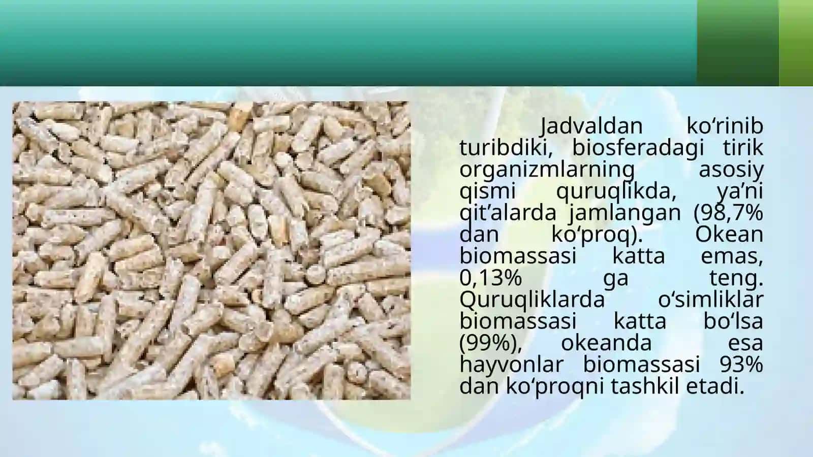 Biosfera  biomassasi 4