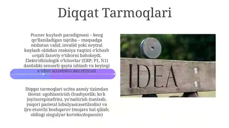 Diqqat haqida tushuncha va uning nerv-fiziologik asoslari 4