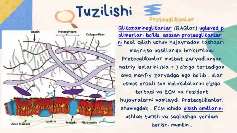 HUJAYRA VA HUJAYRADAN TASHQARI MATRIKS ORASIDAGI MUNOSABATLAR 4