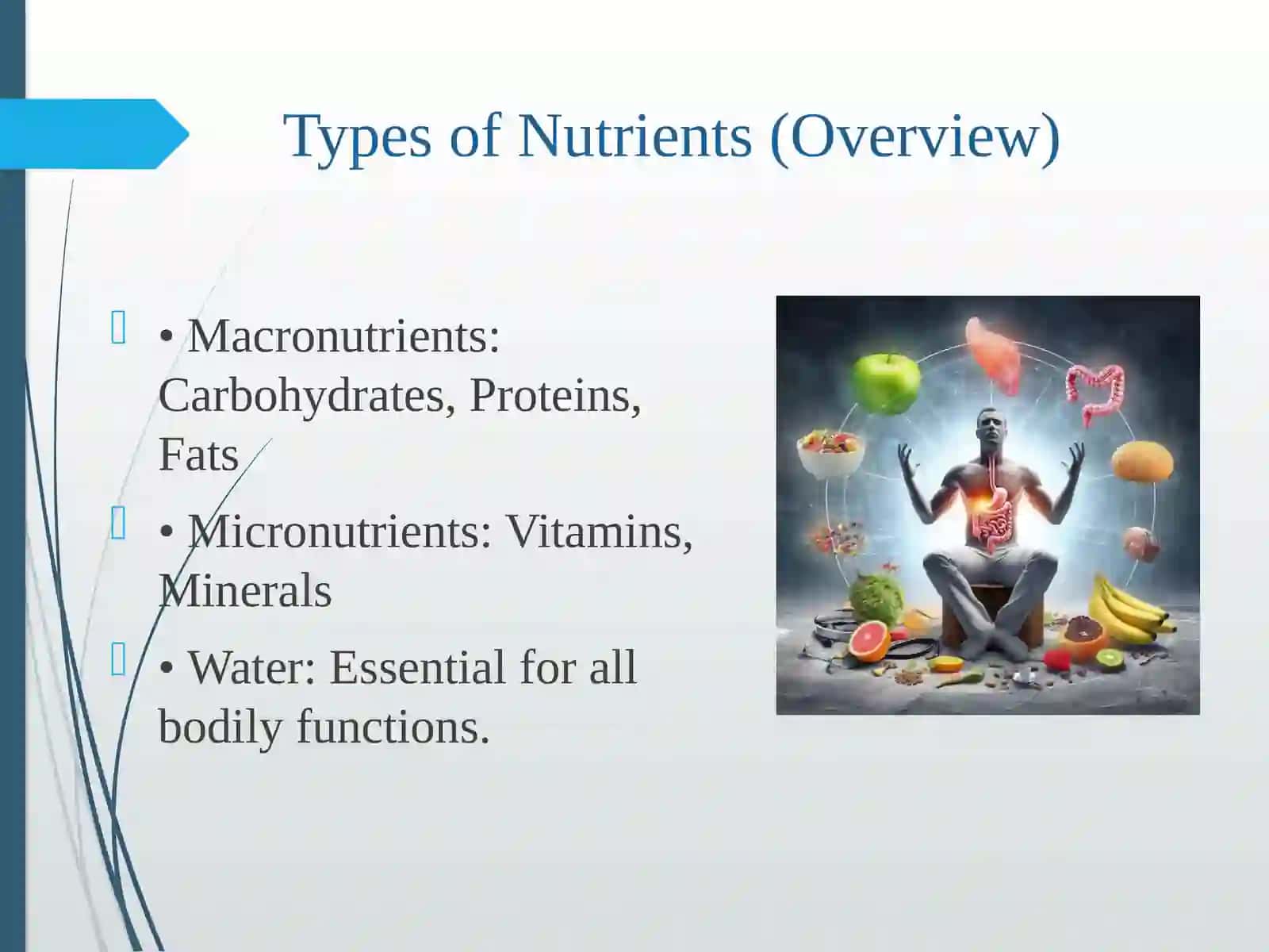 TheRole of Nutrition in Maintaining Good Health 4
