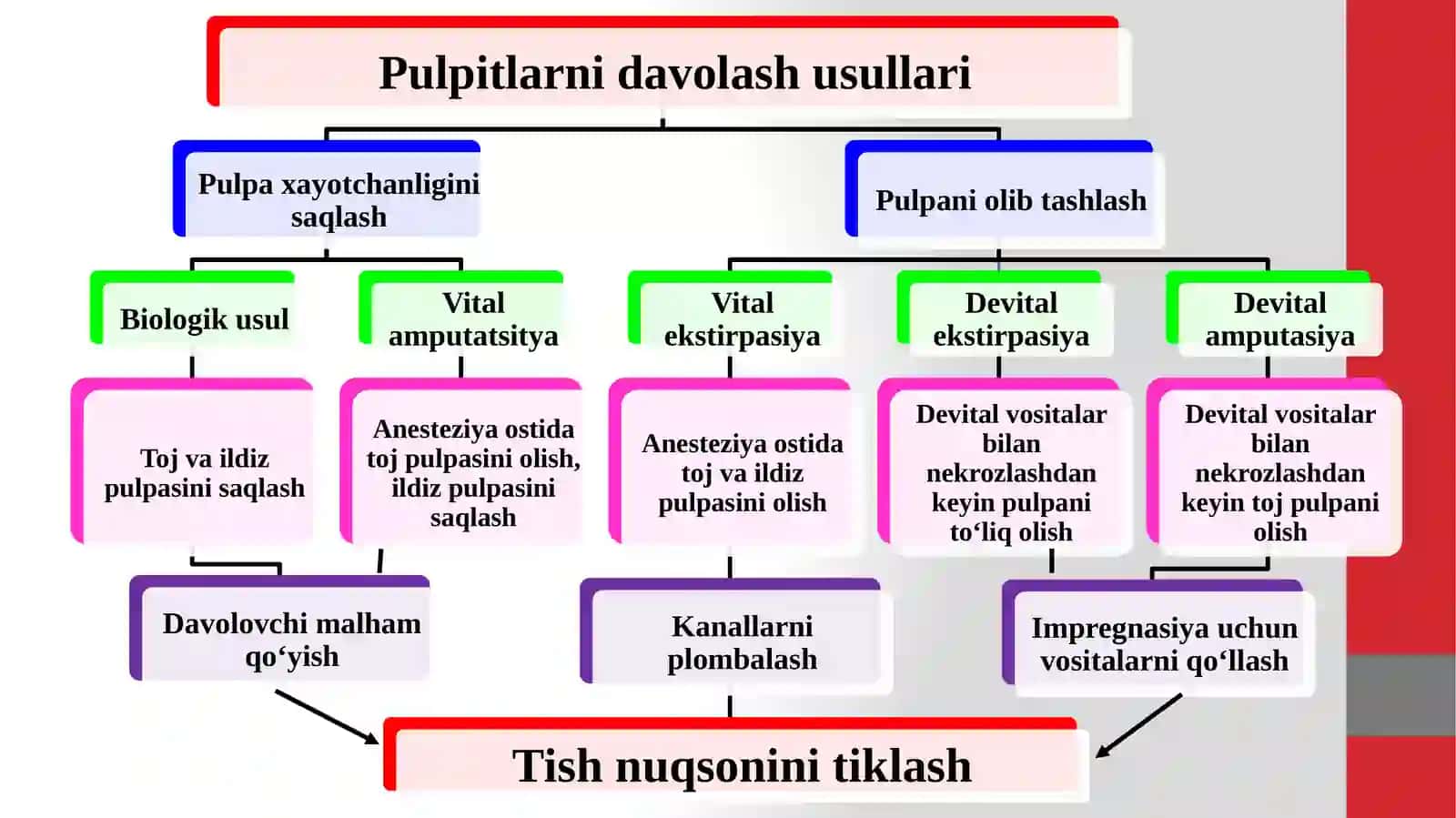 Tishlаr xаyotchаnligini sаqlаshu sullаri.Pulpani biologik usulda davolash 4