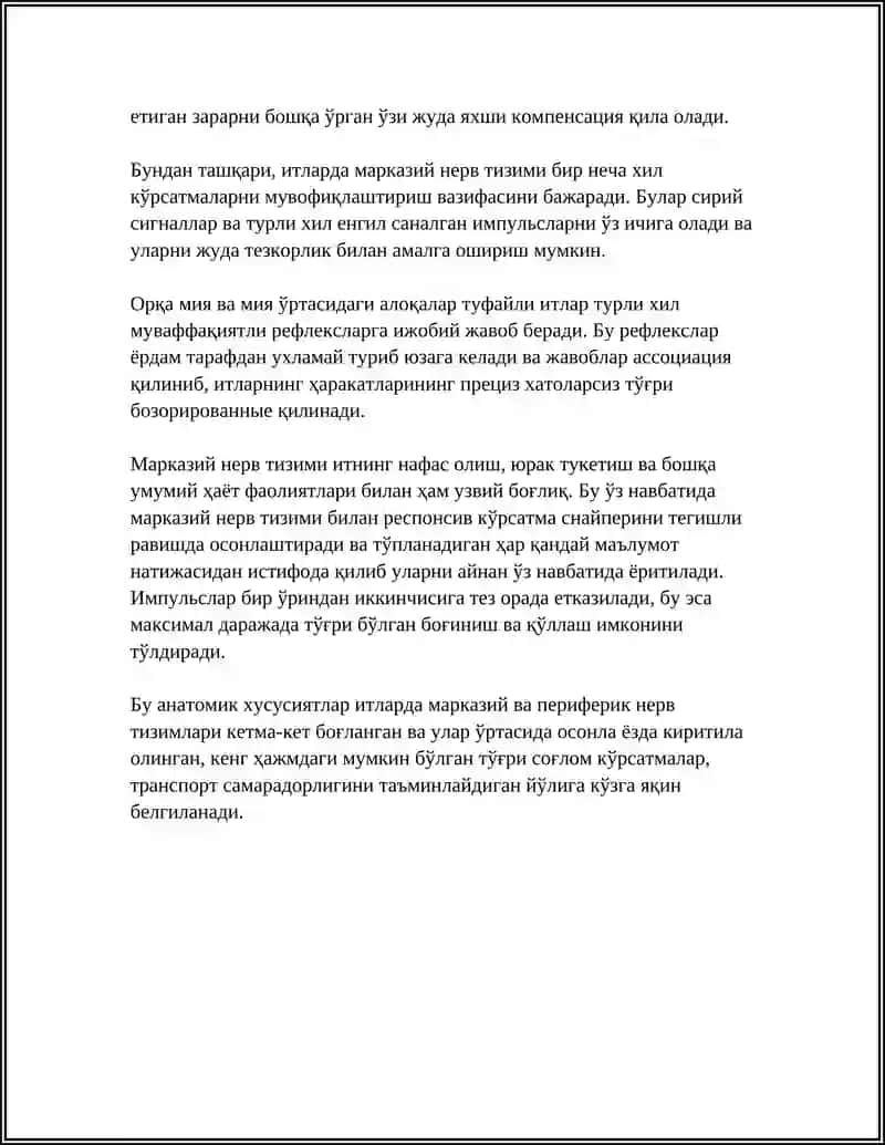 Итларда марказий нерв тизими 4