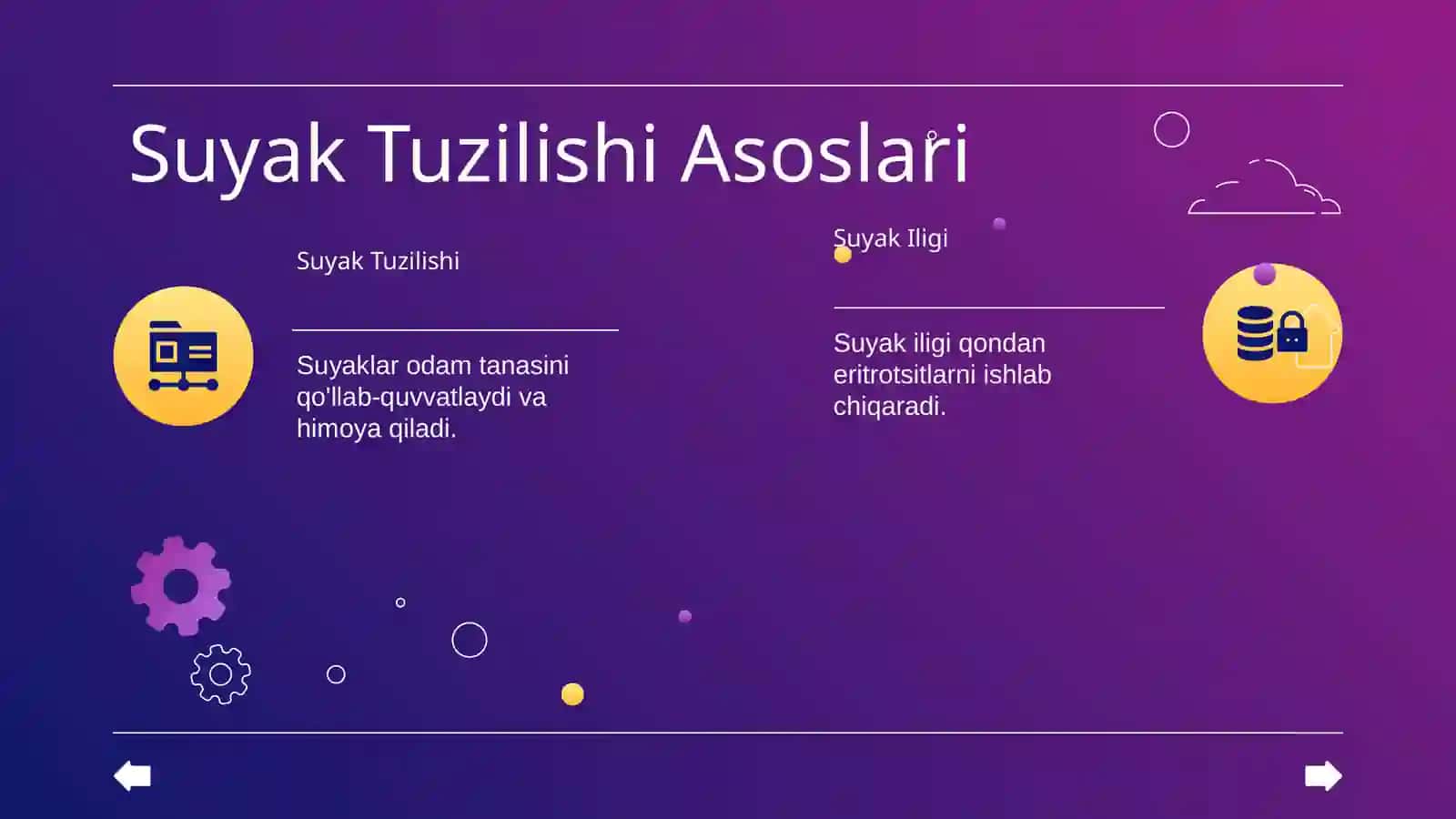 QON YARATUVCHI A'ZOLARI. SUYAK KÕMIGI VA TALOQ TUZILISHI 4