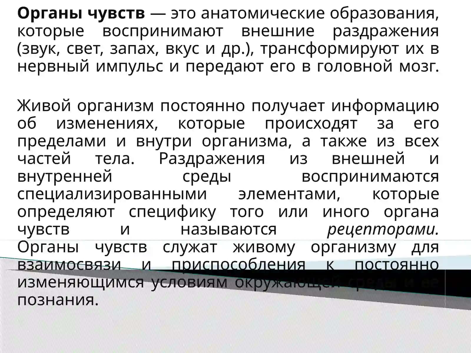 Общая характеристика органов чувств в свете учения об анализаторах. Возрастная гистология, регенерация 4