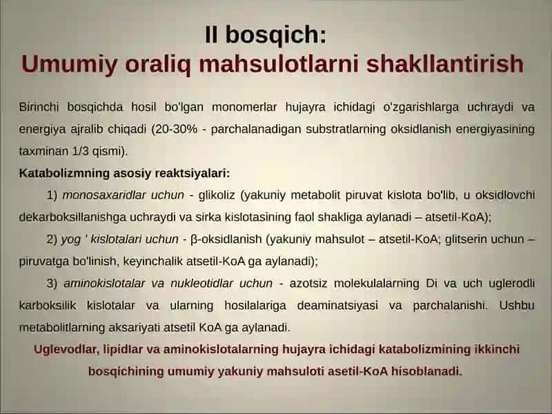 Metabolizm patofiziologiyasi: energiya va oqsil almashinuvining buzilishi 4