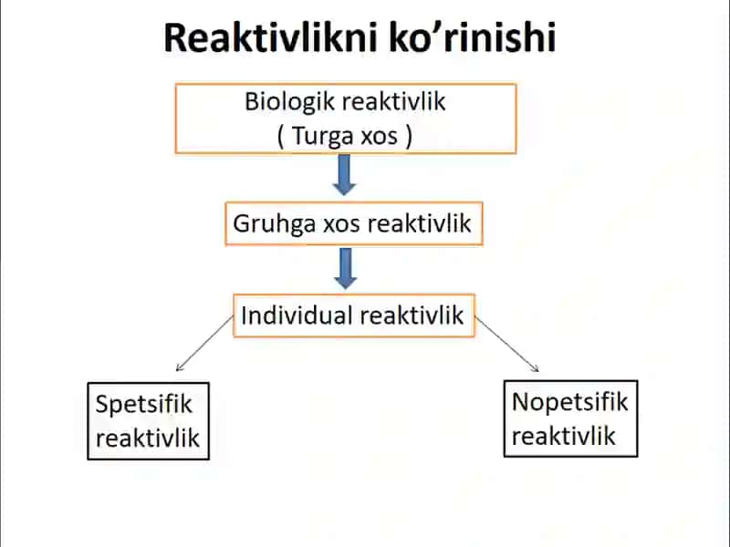 Patologiyada reaktivlik va rezistentlik 4