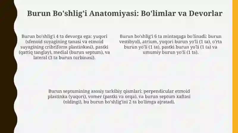 Orbita Anatomiyasi 4