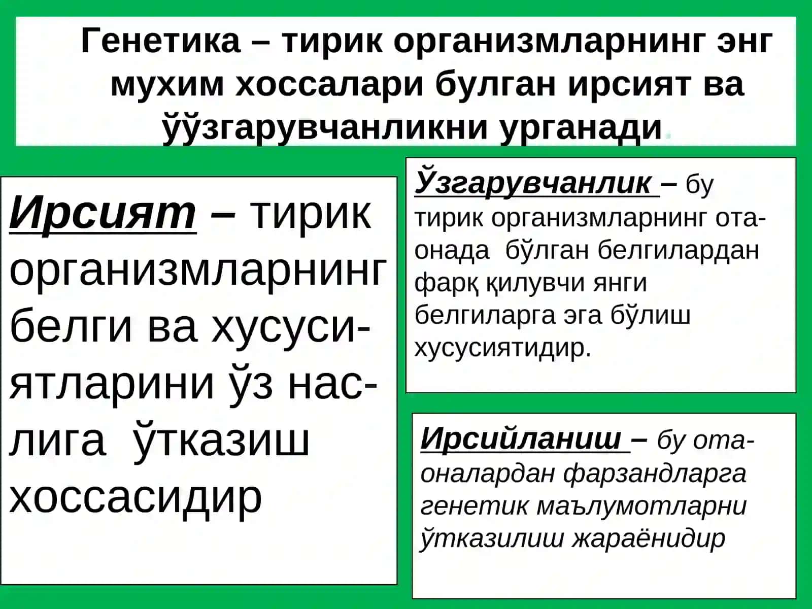 Умумий генетика асослари. Ирсиятнинг хромосома назарияси 4