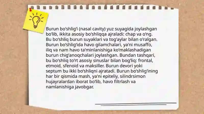 Nafas olish tizimi 4
