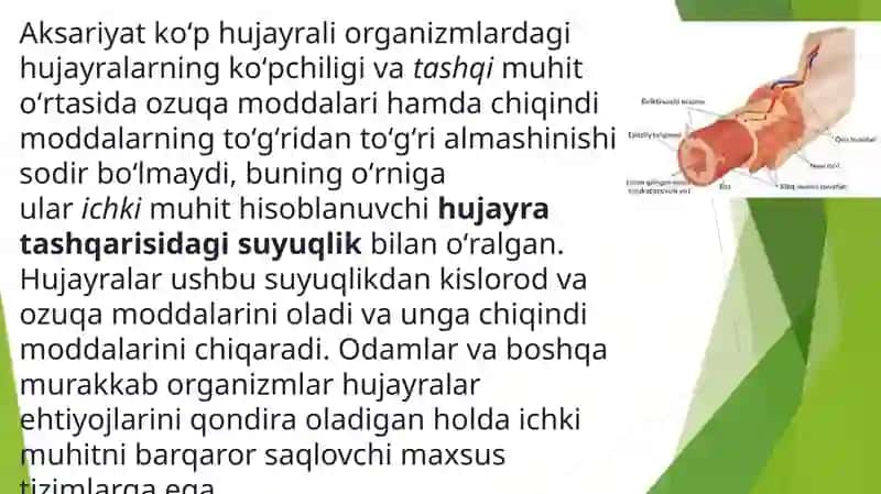 Tasirlanish qonuniyatlarining tibbiyotdagi ahamiyati 4
