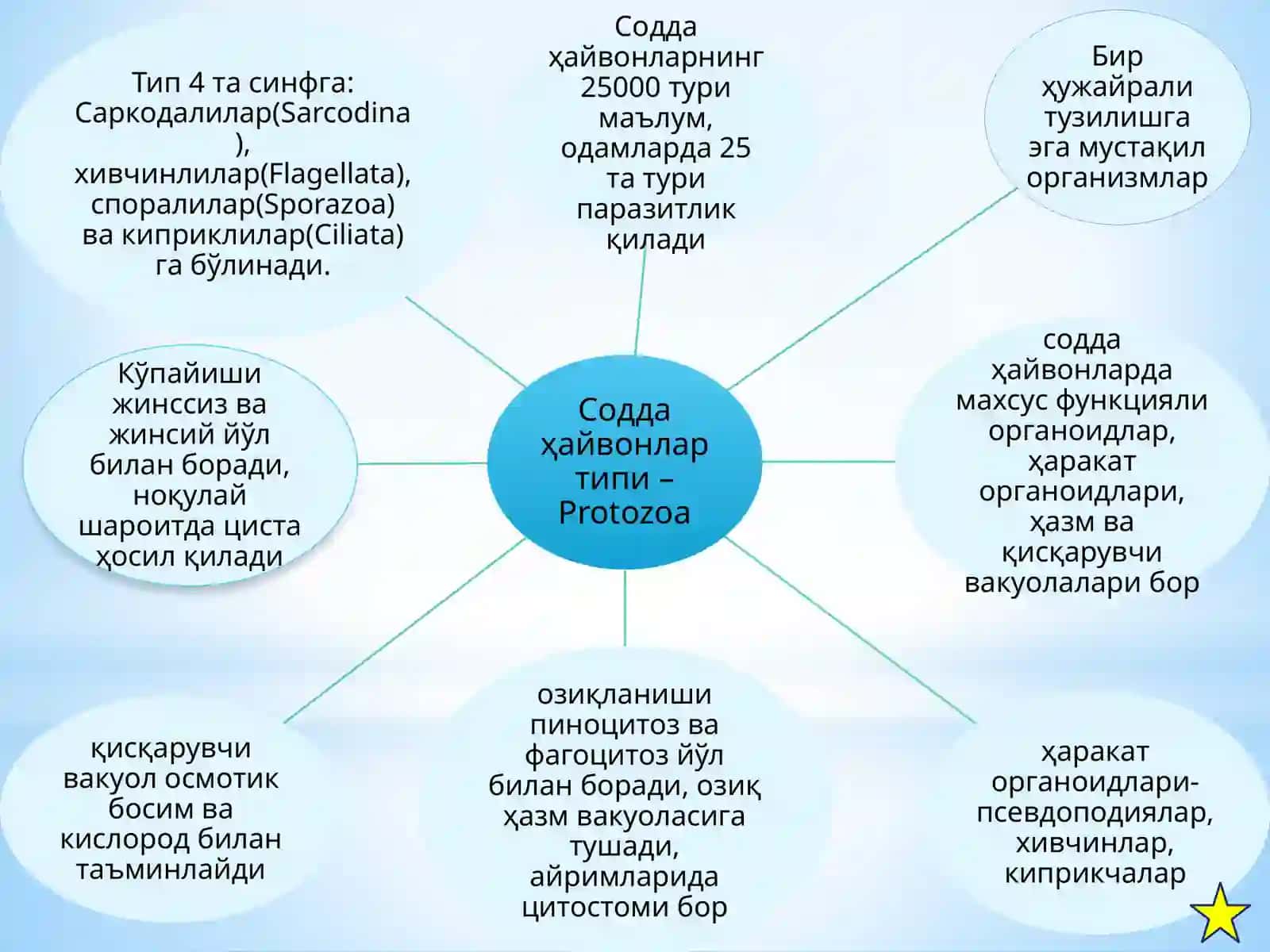 Тиббиётпротозоологияси 4
