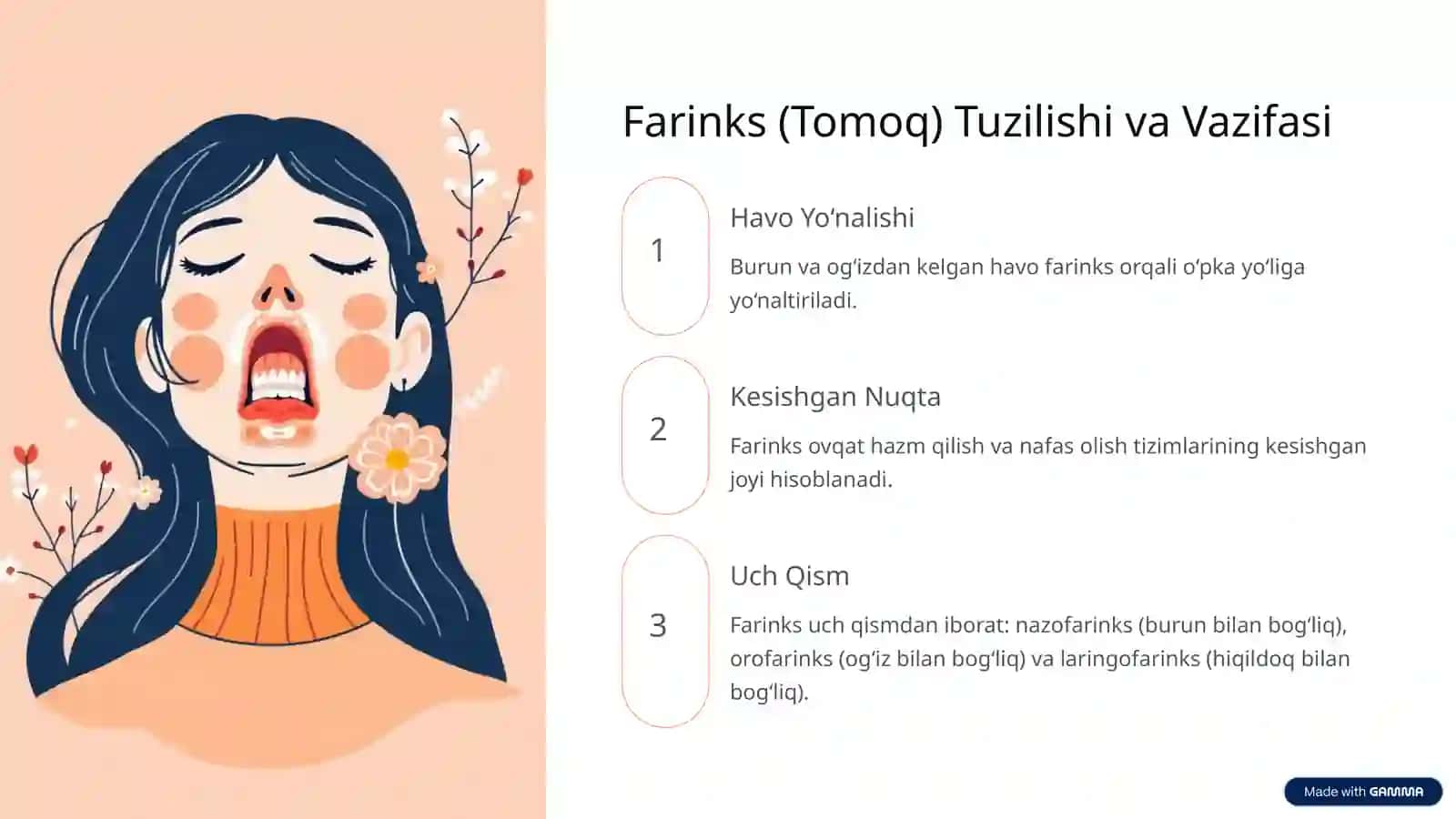 Nafas Yo‘llariga Kiruvchi A’zolar: Tuzilishi va Joylashishi 4